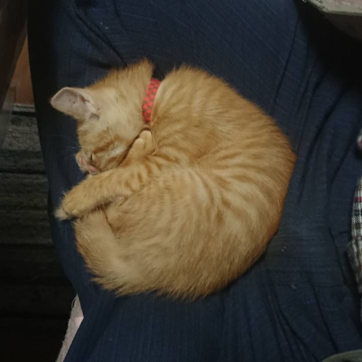 A3e05935 1031 4fbd 8295 0d60ae86570b 1630893251102