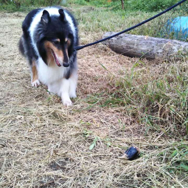 A3e0d482 9c48 4615 843b 09458f03fc4b 1569934104247