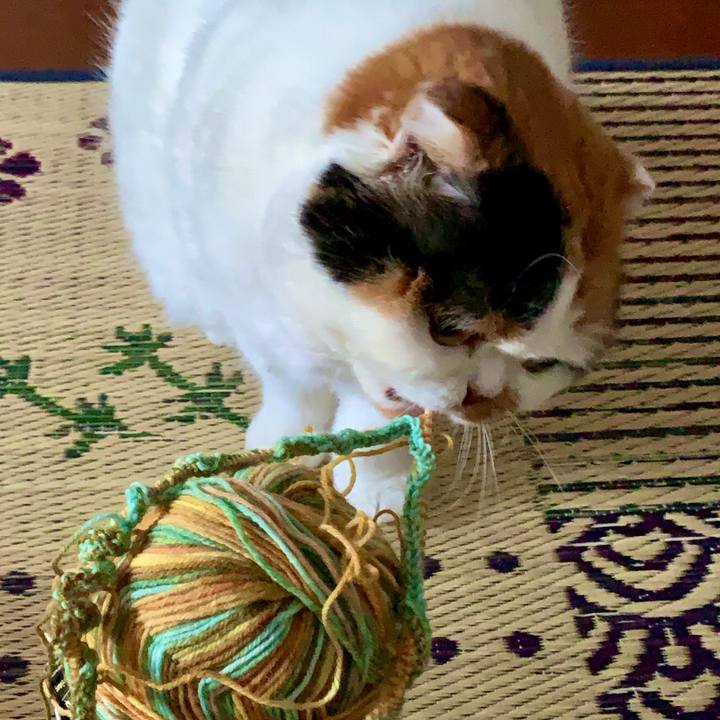 A3e10862 d83c 4452 a4cc 9108e16c21bd 1575157229536