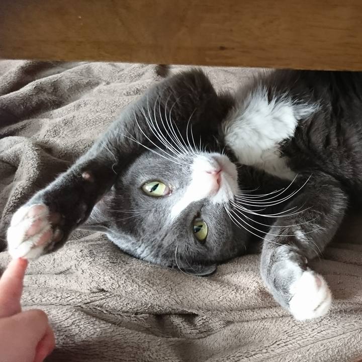 A3e10ba6 acd5 4c6d 9474 4365c1de5f02 1513595592490