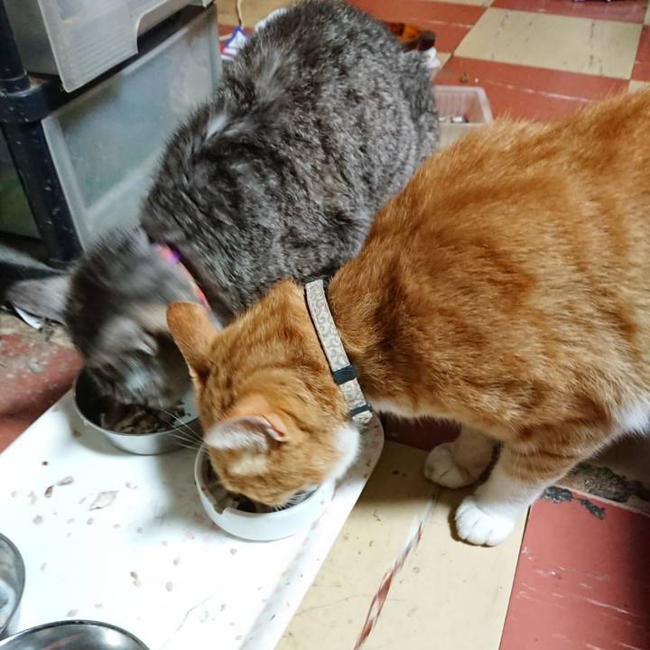 A3e1117f 92a8 49ad 8e92 7e630a421f00 1594373632623