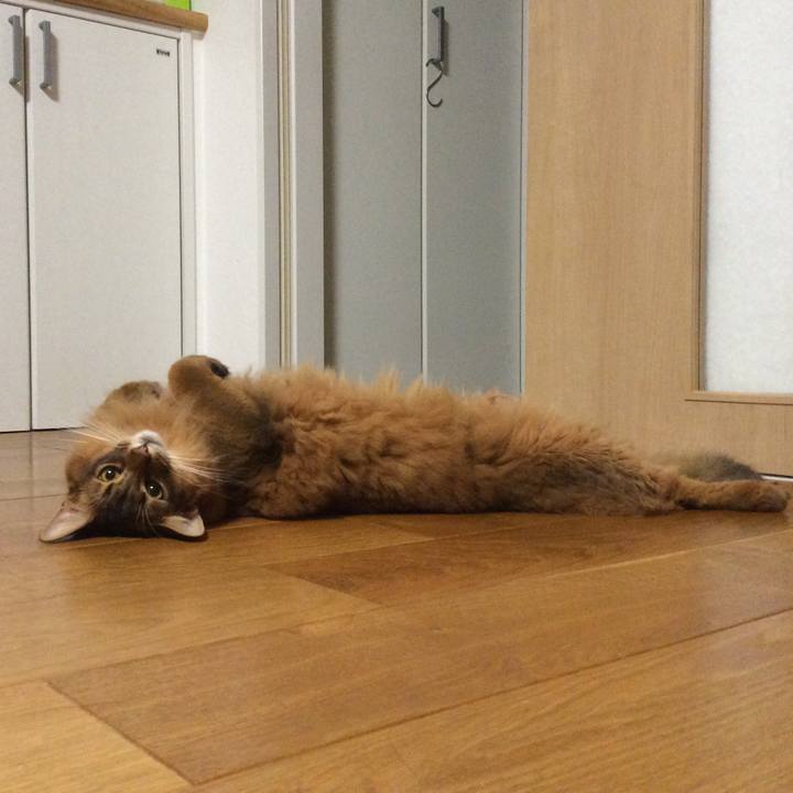 A3e115d7 35e5 438a 9f83 f37aa1e09af3 1602342211505