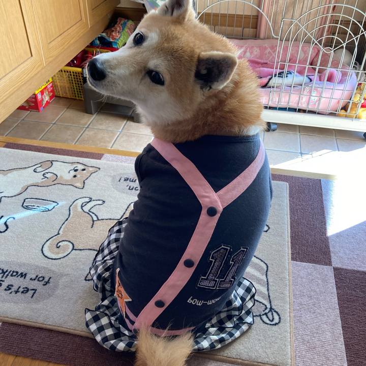 A3e14089 d1c3 47c9 9f9c a39050a06dda 1638101197438