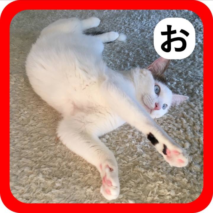 A3e14863 1ddf 4df7 b906 e8910d2530ff 1515399064008