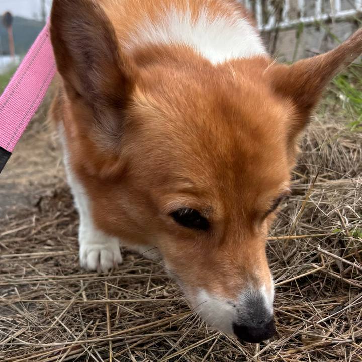 A3e1a146 4a62 4869 8345 f2cabe08e7d2 1749690382636