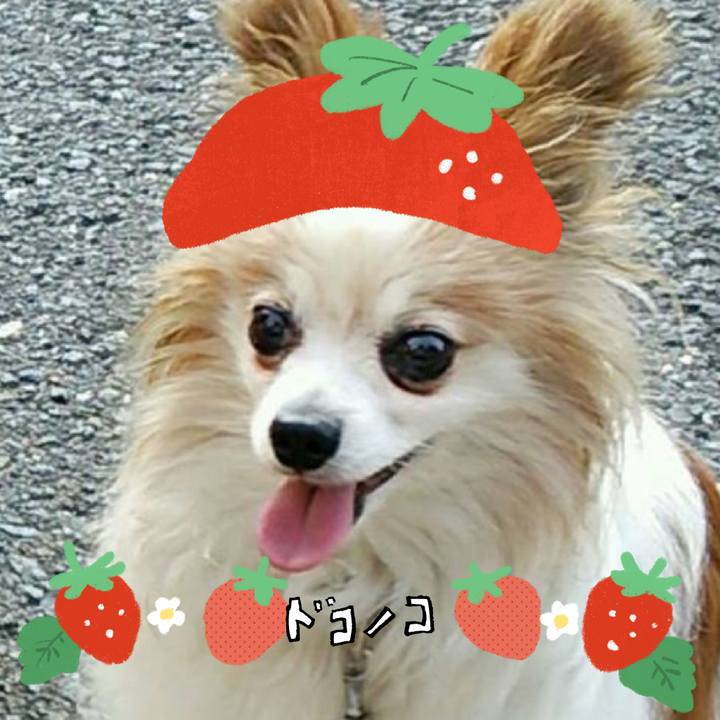 A3e1ddd3 4431 48ce 8c4c 88697594f52e 1775195705044