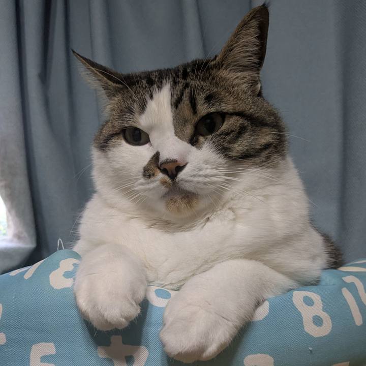 A3e1f53d 98ef 4a61 aebb f3729312c9ef 1745794483405