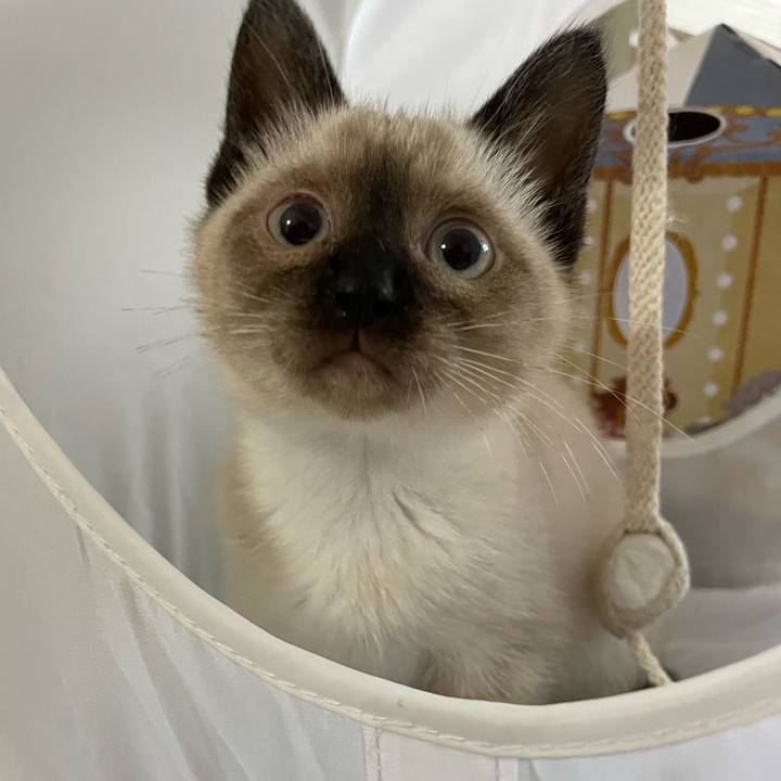 A3e21837 15db 43fa b4f6 4163088a4e54 1689019064107