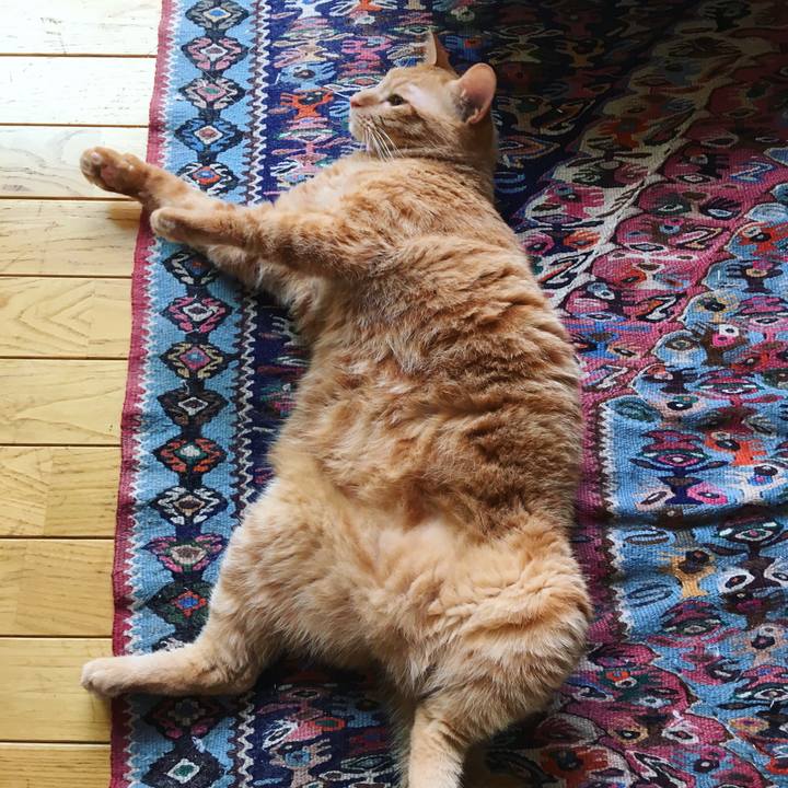 A3e26f26 3721 4d29 abd6 9e2a34baa935 1533727348928