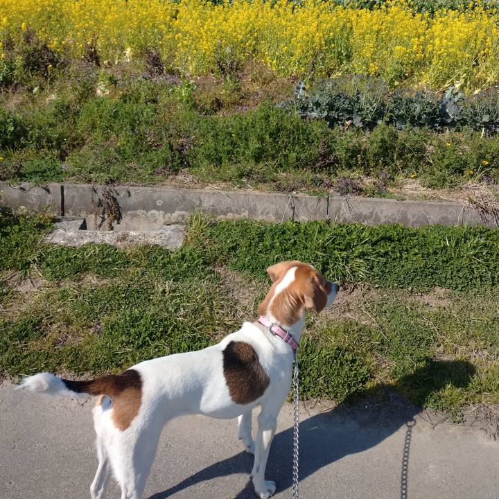 A3e2b0df ddb2 45ee 802b f934a1b11387 1584684962779