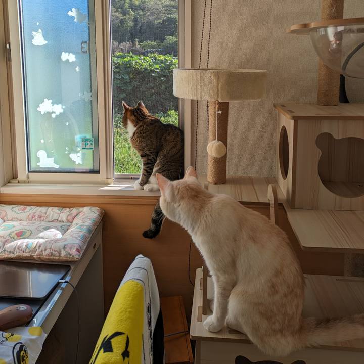 A3e2bde9 4732 499c be81 dd1c75fce366 1695962570276