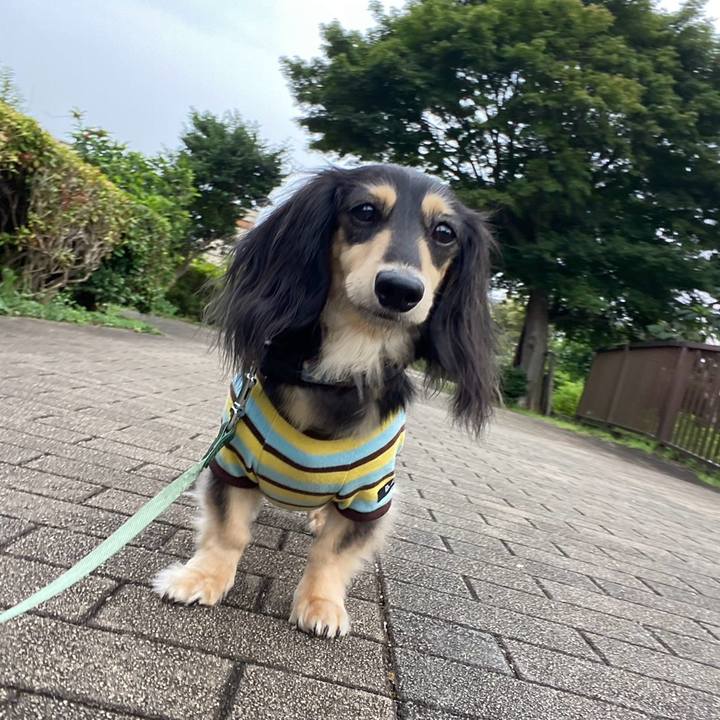 A3e2c42c c39a 43c7 9cf5 a626212f9dd3 1751842565919