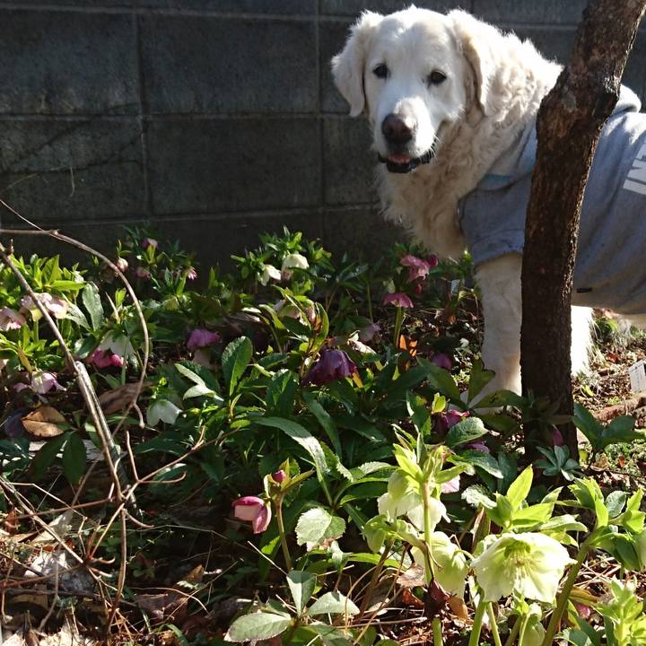 A3e2e3b2 9b85 4920 bd97 e955ffd209a0 1520122609718