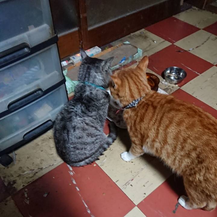 A3e2ea7b 1b62 4378 b62c 0e6783216a5a 1572121668403