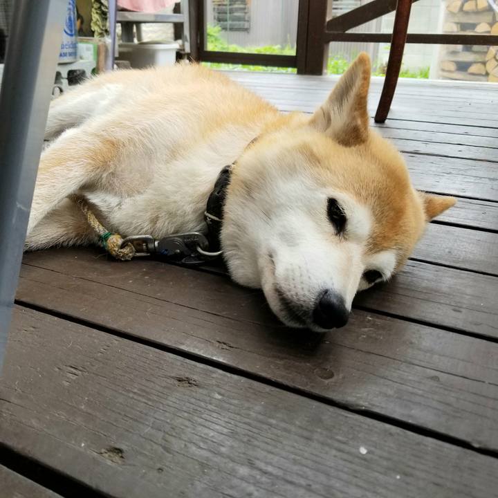 A3e30a6d c2a6 48f8 ab48 f496f465c5e8 1595377315327