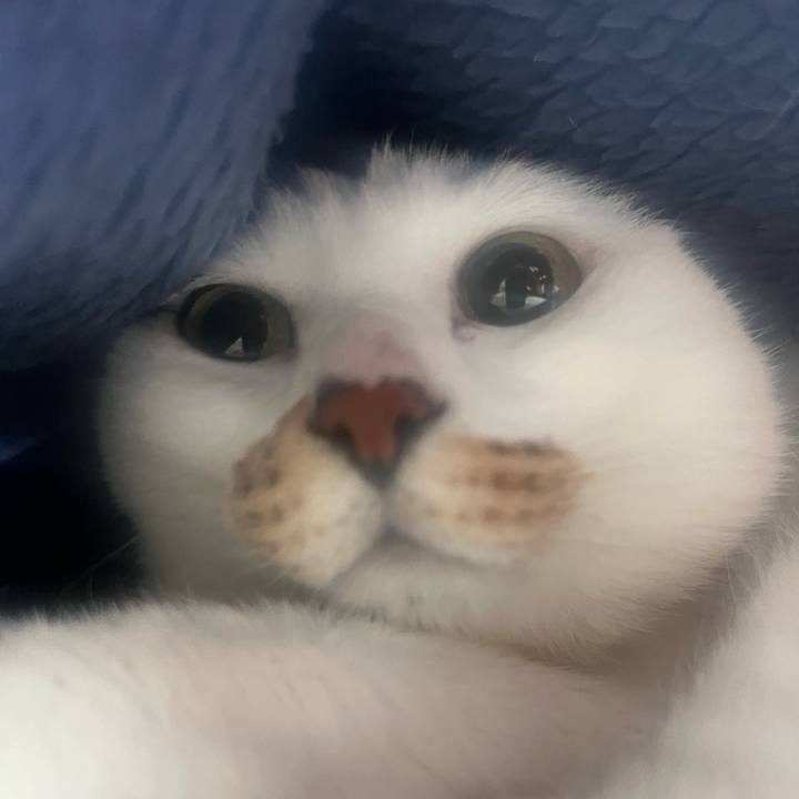 A3e32dfb 17de 445e a037 cc15904e1a9a 1742216228958