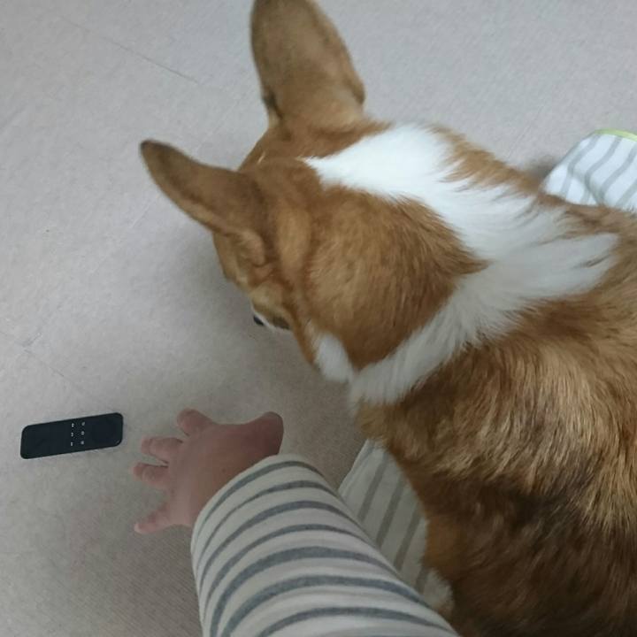 A3e37702 9503 4c2e 9655 7613196ef341 1513676310539