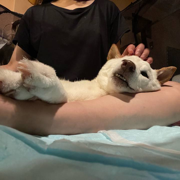 A3e38119 4a90 42f5 b096 7dc09c47f523 1656434833926