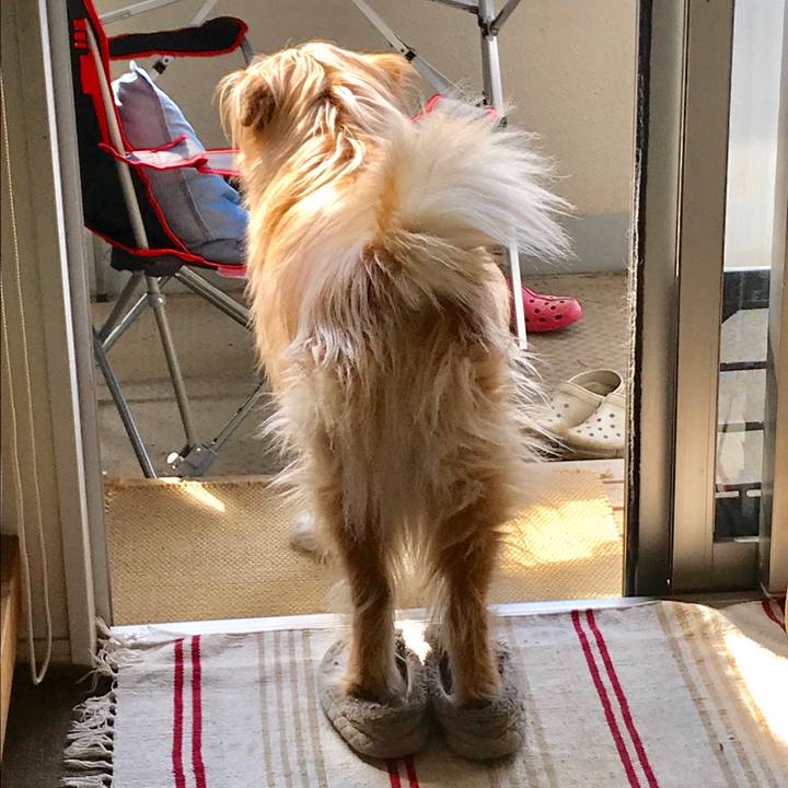 A3e388b3 15fb 4bea ad98 a738d01bc9aa 1587684831723