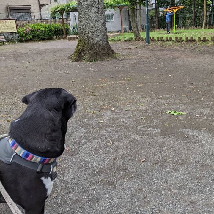 A3e3ca92 981a 4784 bcfd 33a1c43186f4 1651367655235