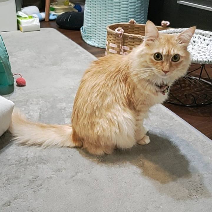 A3e3d0ba b3d3 4213 9df6 e4a1ff8028d9 1698846880906