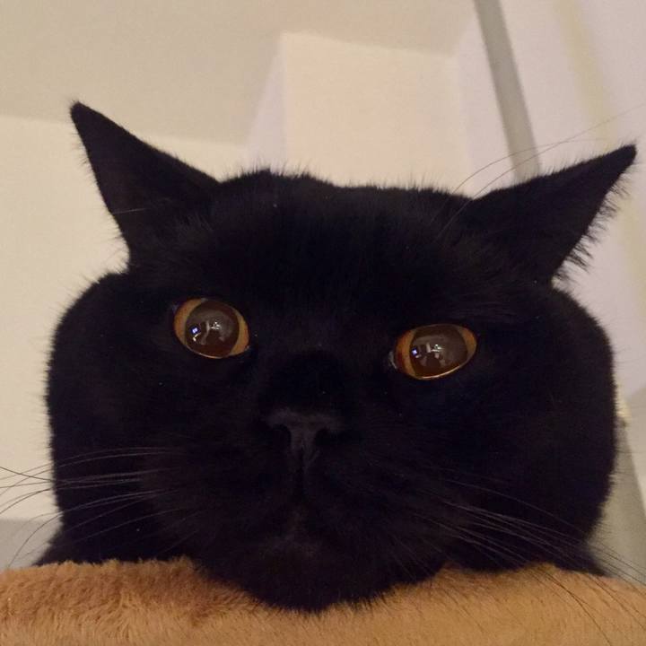 A3e405d1 3c0b 452b bf58 d90bc86bf015 1577969818485