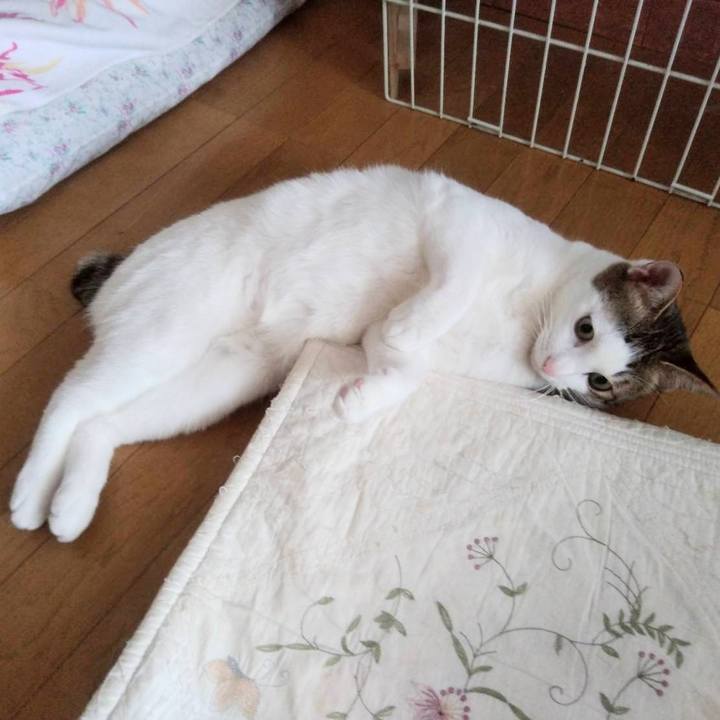 A3e410fb 0667 4e1e a851 923b07d1b901 1674267620323