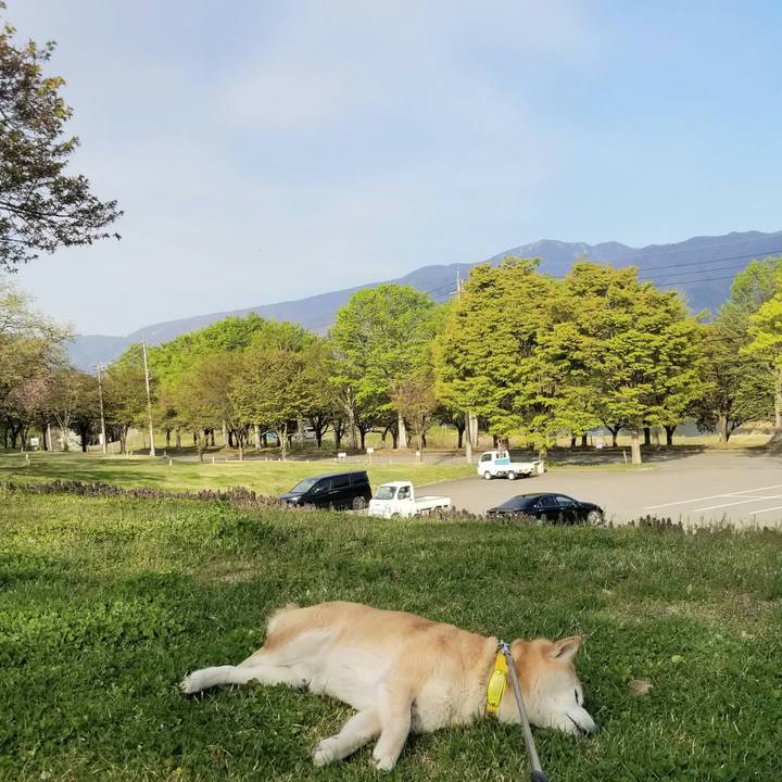 A3e41243 2db7 4ab8 8c2b 701fde7e3974 1682148613065