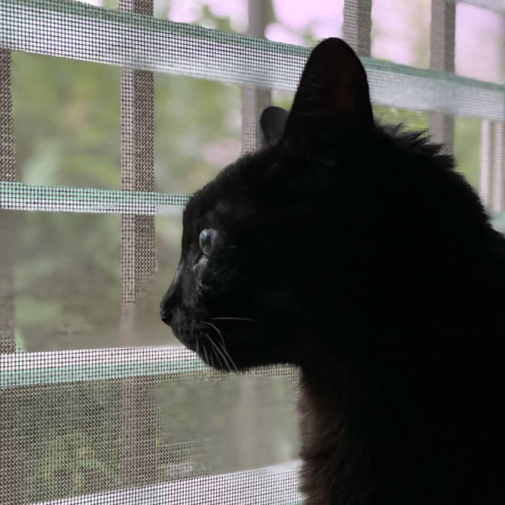 A3e47d1c 3230 4fb6 9669 96195e38c6bf 1628994782739