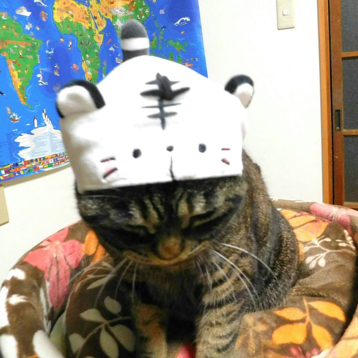 A3e4aa79 a1be 4527 b9aa 31ac96d4928d 1523003355462