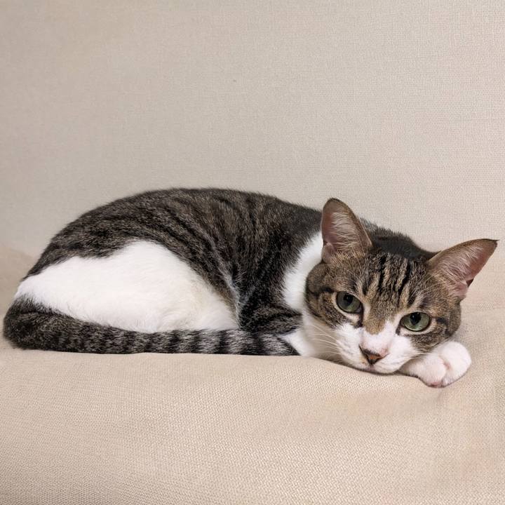 A3e4b1f1 2c0f 4ec2 93f3 9d7b844afef4 1761260770026