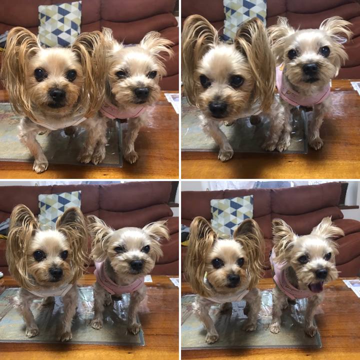 A3e4bbee d5dc 4c95 b3ae be1ed703ddbc 1605778101092