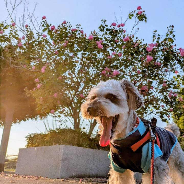 A3e4cdab 6d8b 444e 8ee9 503e18d43391 1760358268143