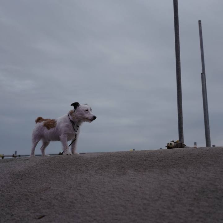 A3e4e17b 8871 4537 a757 9f97d8146259 1522989692976