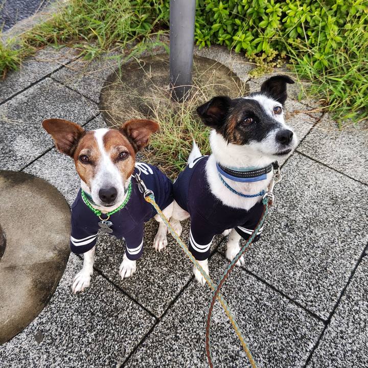 A3e560fd dc8e 4ead b389 c3234318456a 1727991986559