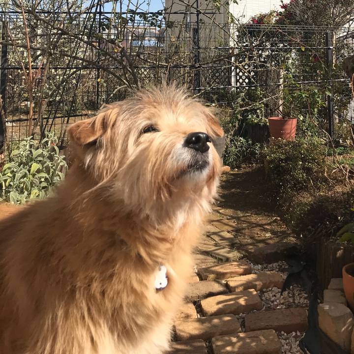 A3e5780f 6ede 434b 8278 d28f7d41fa30 1614581108631