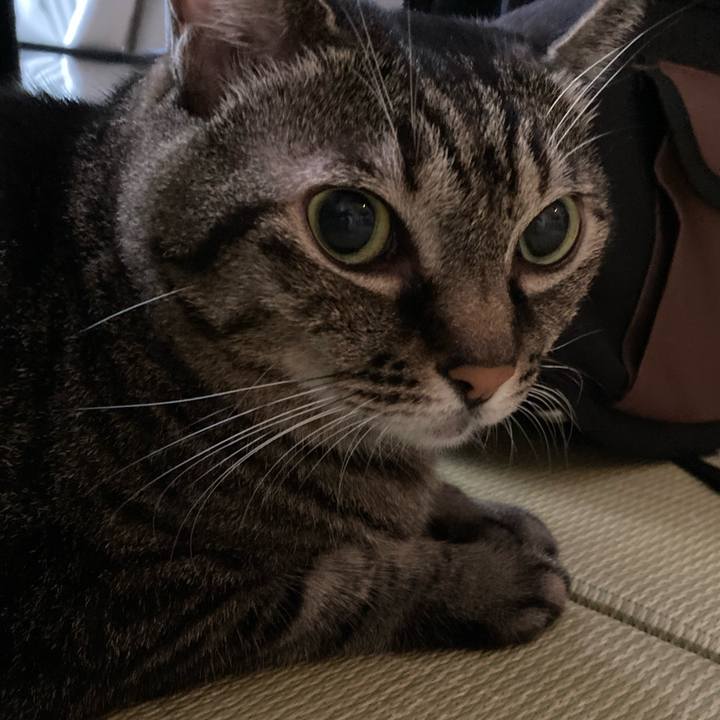 A3e58baa c038 45a5 a0d4 2bb9433caaa9 1728088860041