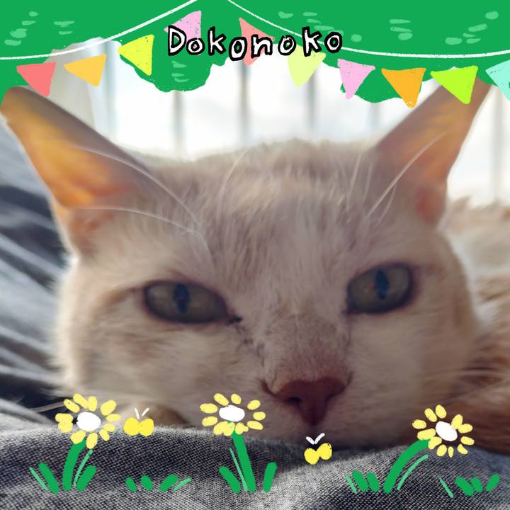 A3e5a2c1 8230 47fa afa4 2d070b9892cc 1711074071631