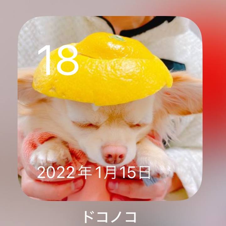 A3e5d747 f714 40b5 a4db 511264ad0a15 1705568827184