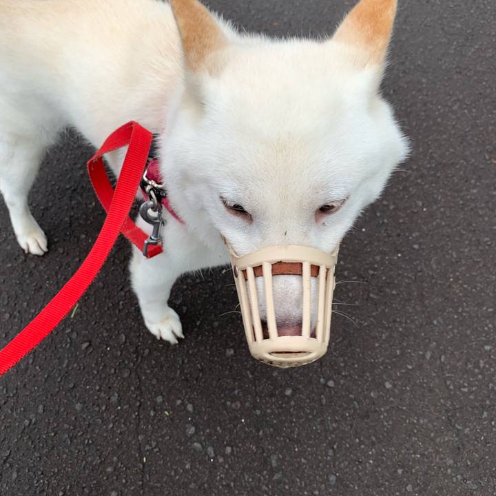 A3e5f1b8 1af8 4c38 9340 b3d5991589a9 1564618698461