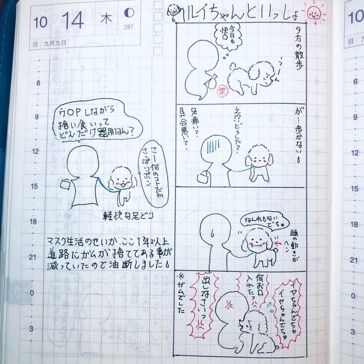 A3e5fc8c a400 4cbd 9e48 f26e0356c140 1634215185395