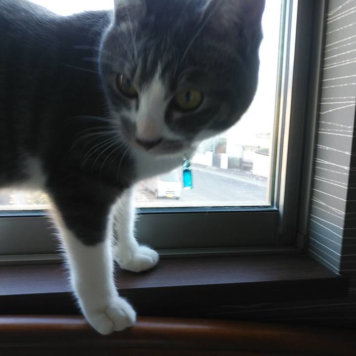 A3e5ffe8 c775 4db9 a2aa 8ba5ebac9375 1581203086071