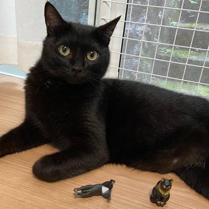 A3e626fe a066 48da 86cd b747de5a293f 1657712328320