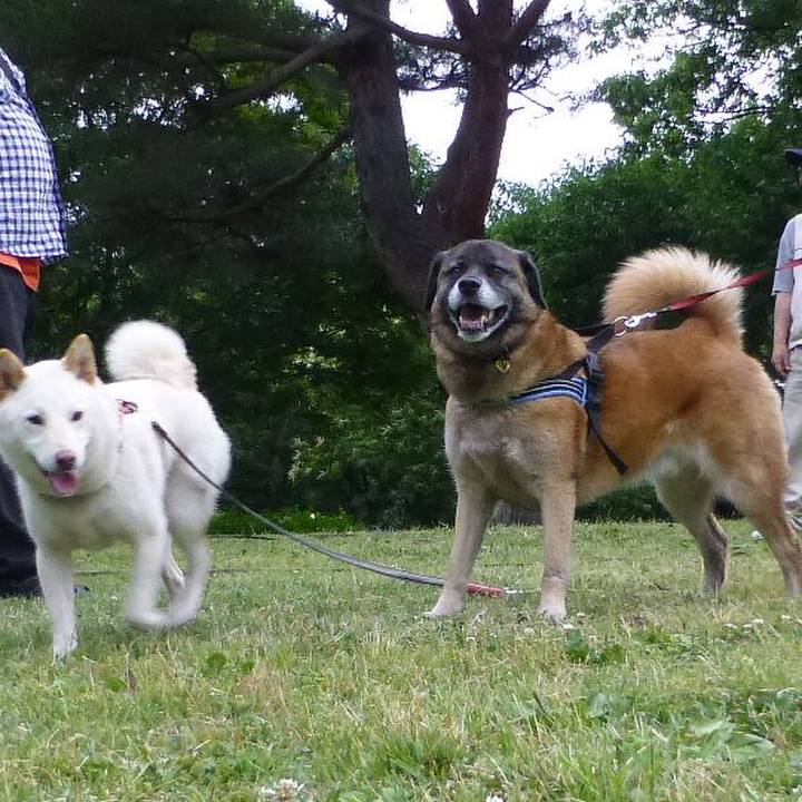 A3e690e8 9c9d 4a05 9696 d539eb58a4bd 1578876418148