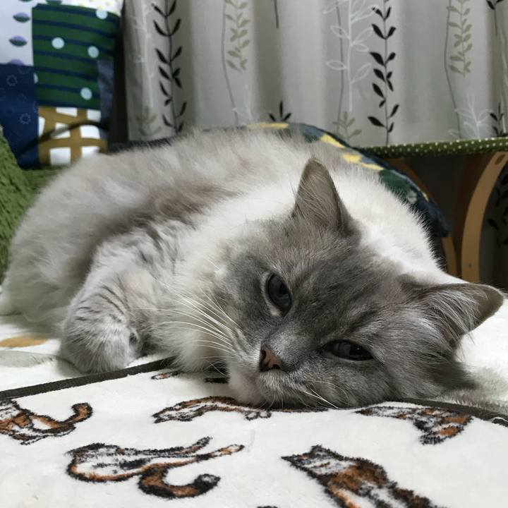 A3e6d5b7 b8be 4cc2 8b67 2e13a9d4bf7c 1510235477472