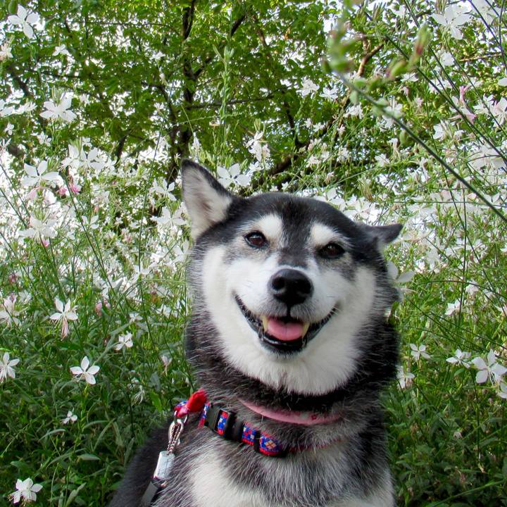 A3e6e2eb 1aee 4ebe b51b fcbc5dbc7691 1663029266890