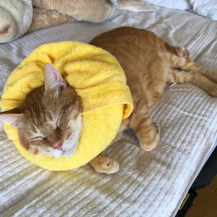 A3e71883 9570 4001 91be d2d6fd3295e1 1600738391178