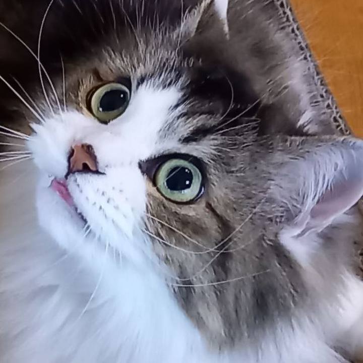 A3e71ccc 47fa 4801 a9fd e5968722499d 1612602783604