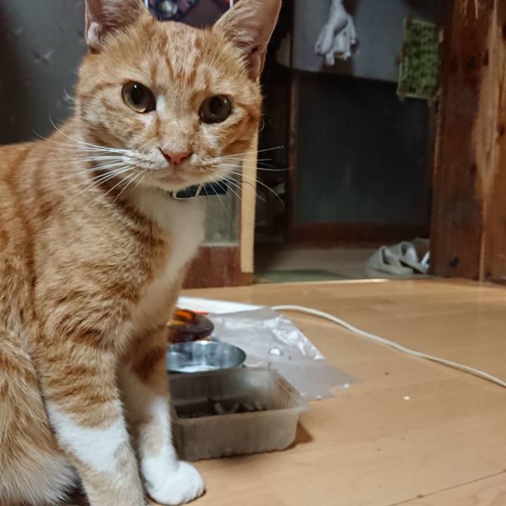 A3e7219c 25c6 44f5 86ef ab6ac01d01d6 1601721627809