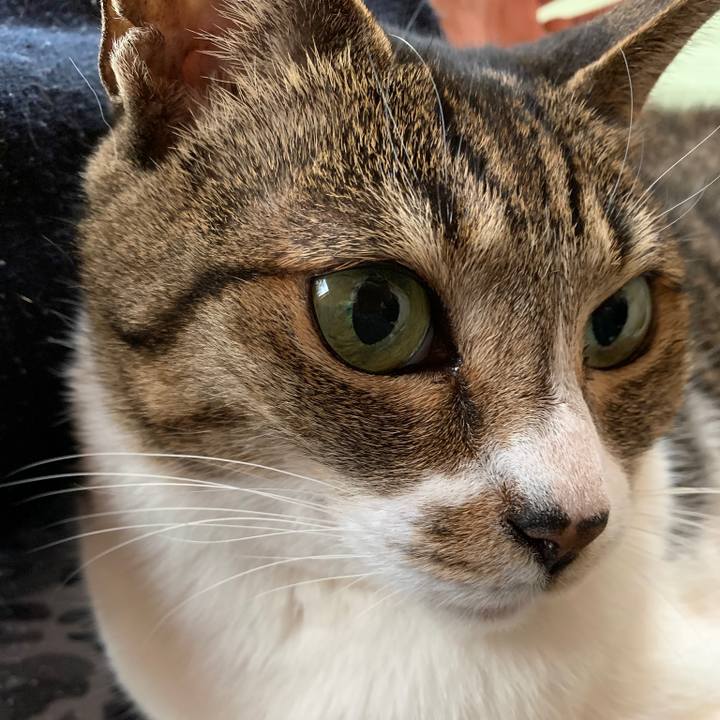 A3e7235a 4530 400e 96f7 c2be3ff04975 1556328498531